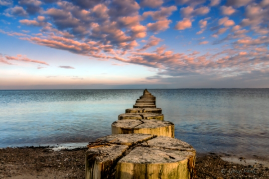 Von dem Fotografen Gonzo Scholz
